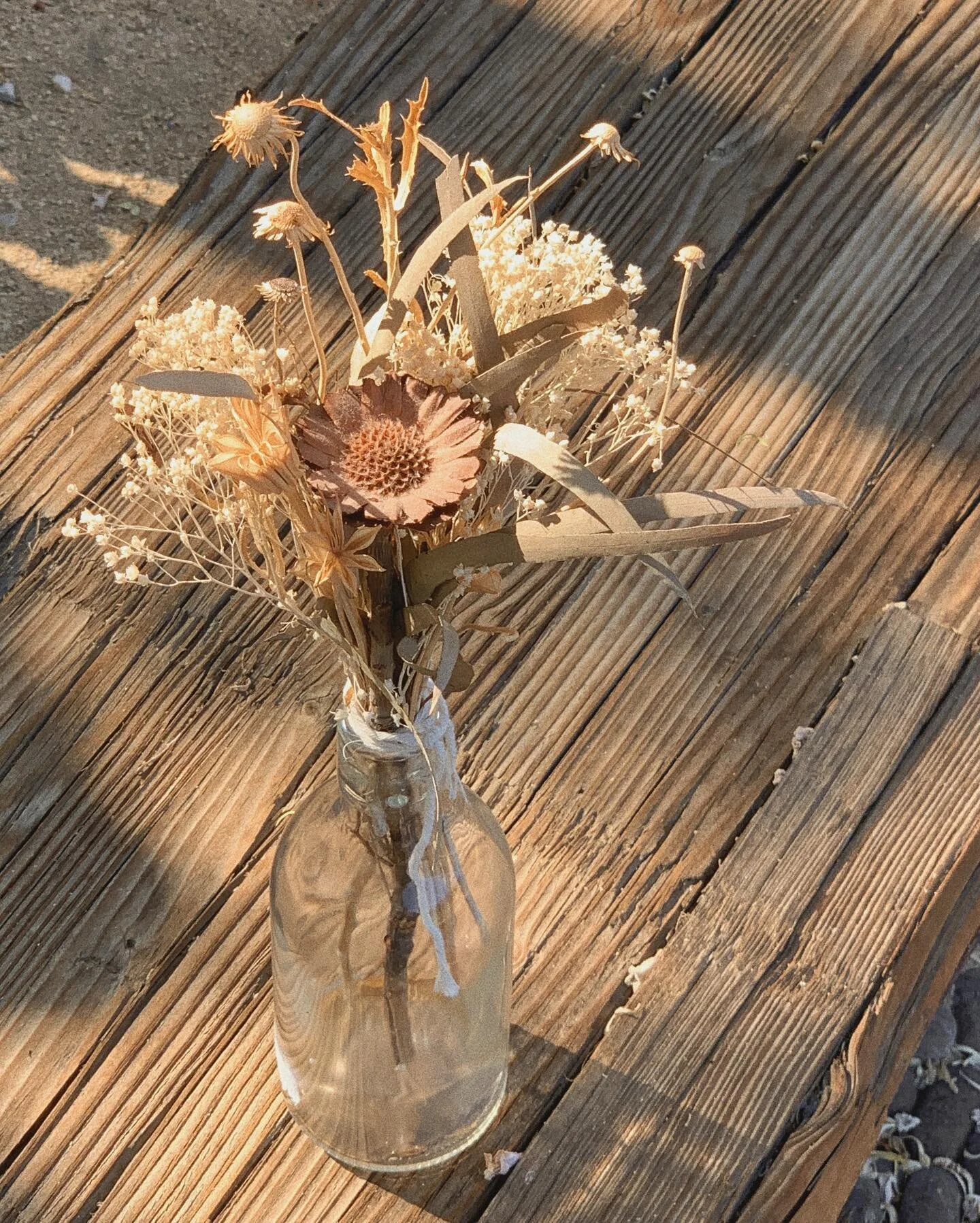 inspired by joshua tree and the mojave