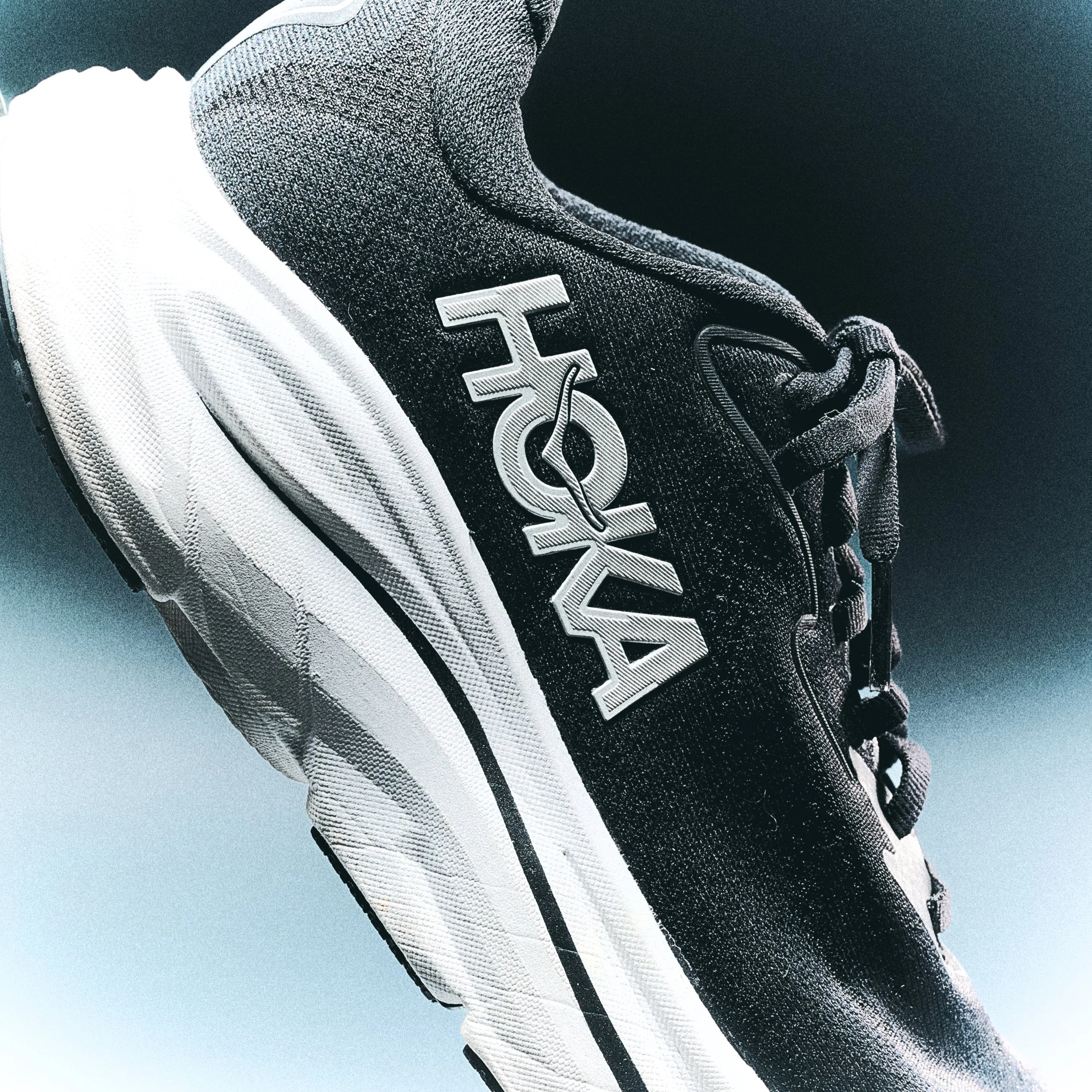LOOK1_0040.JPG