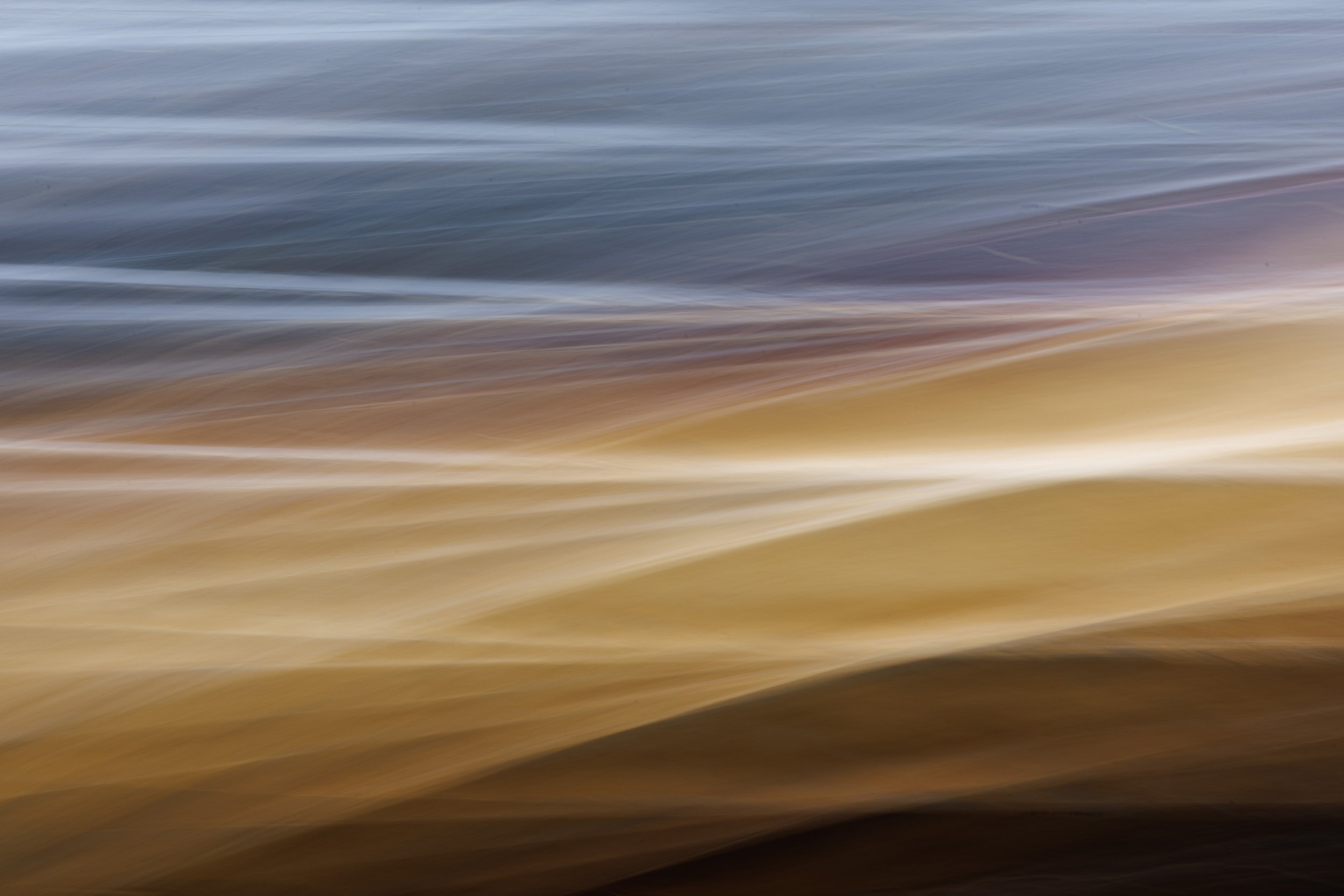Deanie Harrison ICM-4.jpg