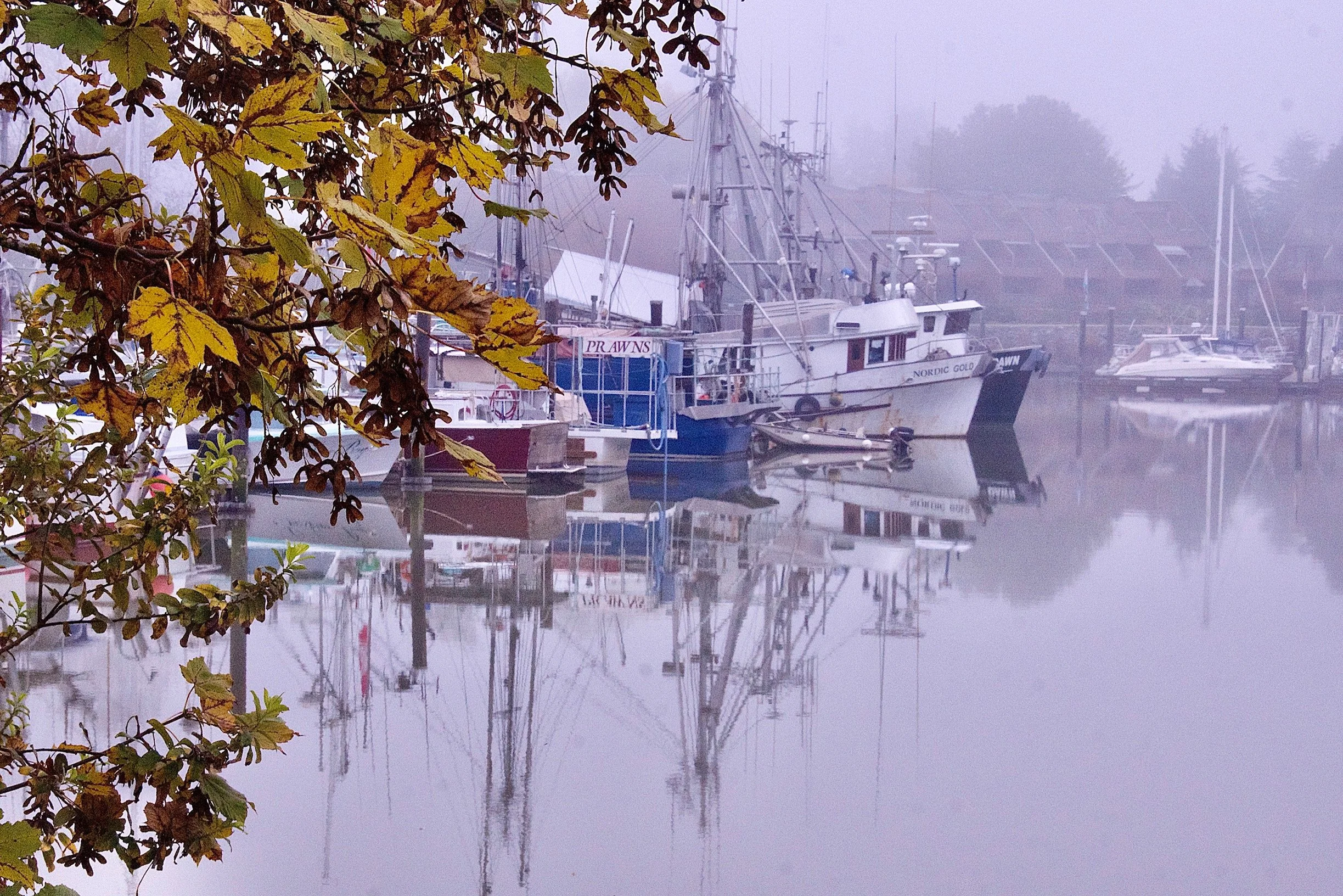 DSC09083.jpg