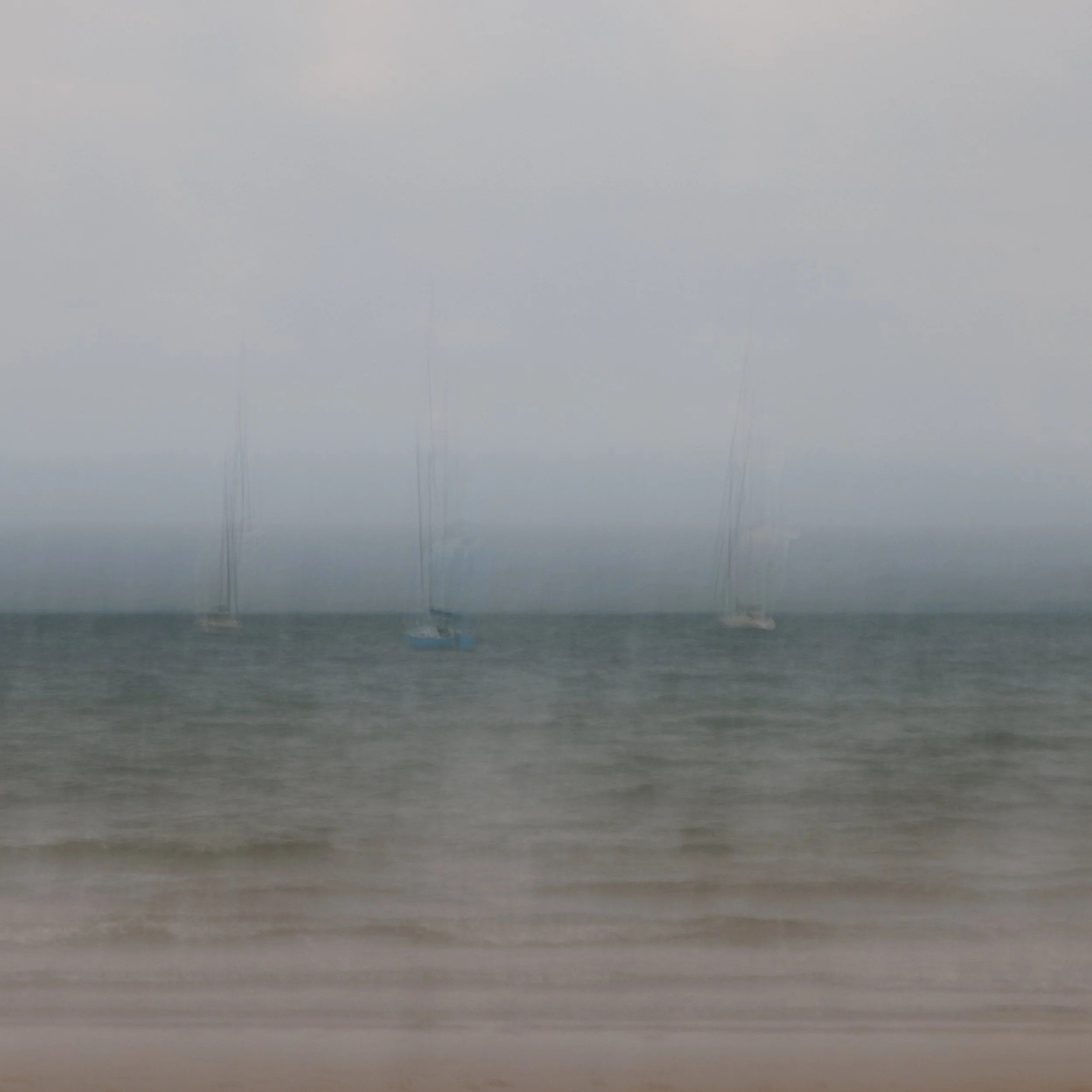 Deanie Harrison ICM-3.jpg