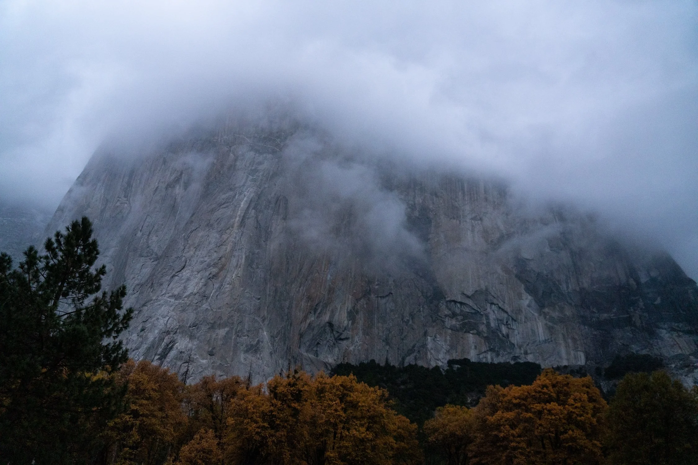 The Ravens Last Flight