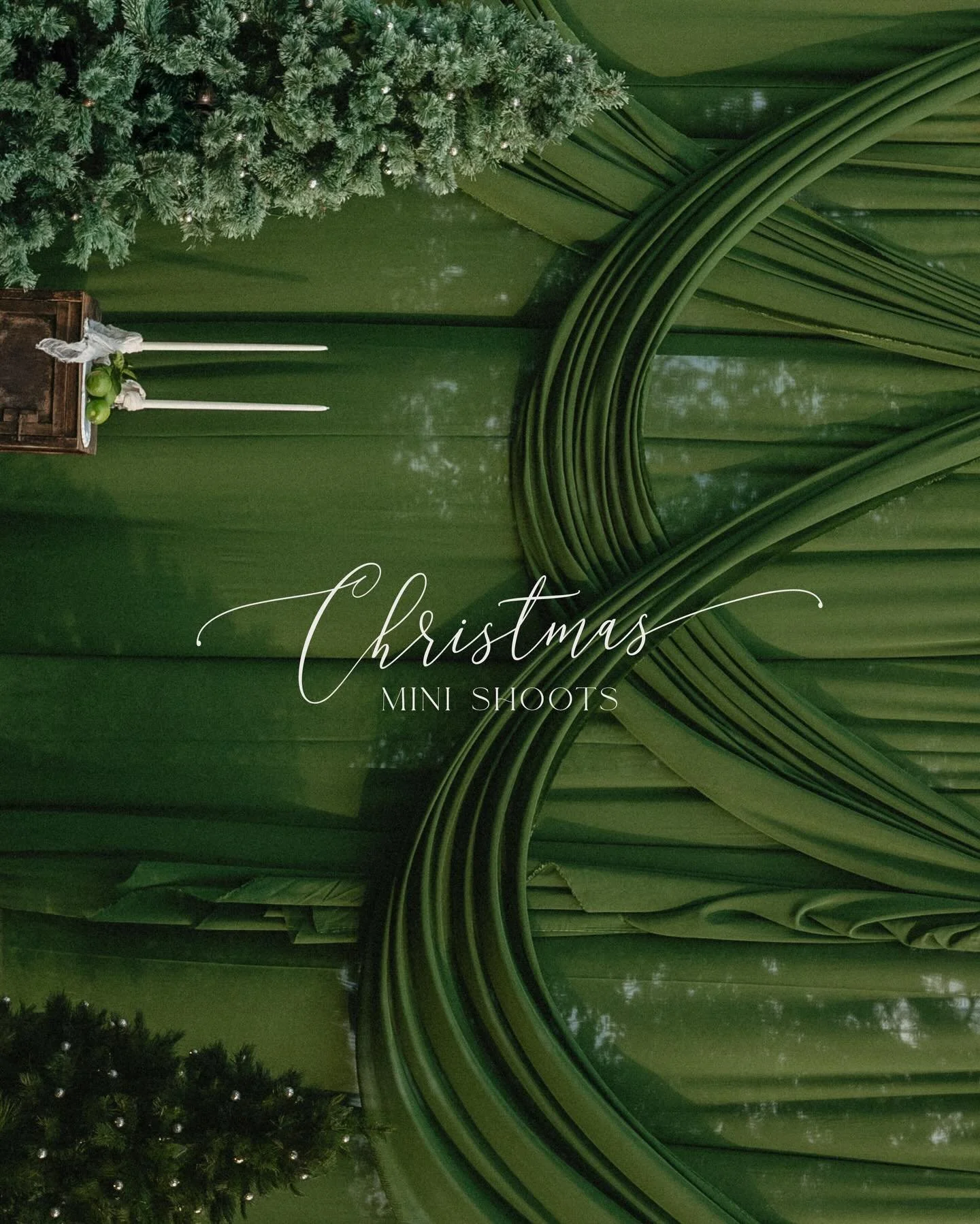 I&rsquo;ve always wanted to do Christmas mini sessions, but I knew I wanted them classy and stylish&hellip; so here&rsquo;s my non-tacky Christmas version. 

Available this Sunday and next, if you&rsquo;ve been dreaming of Christmas photos that feel 