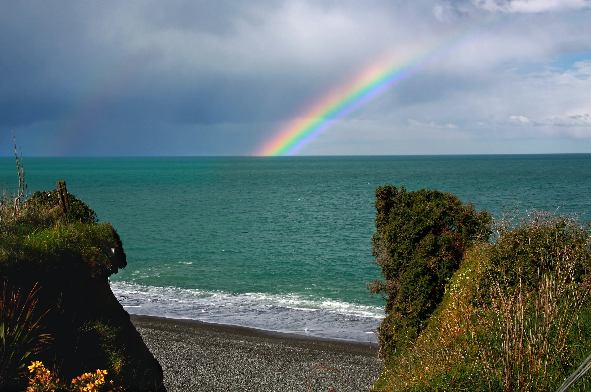 Hawaiian Islands Chiropractic Center