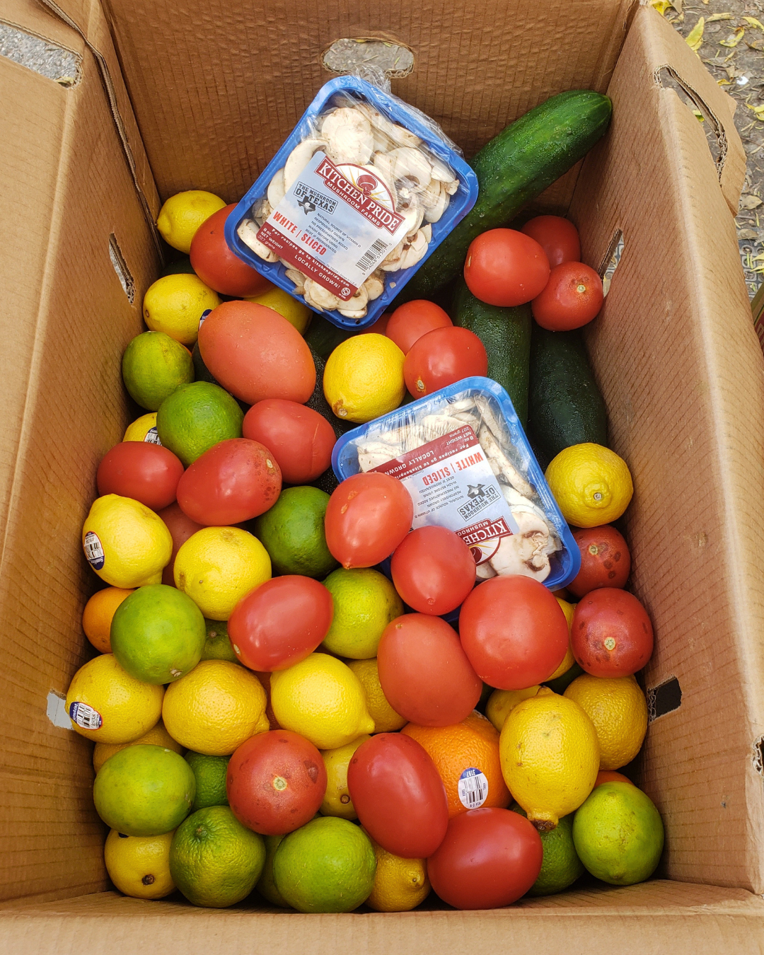 How to Reduce Food Waste in Your Own Home