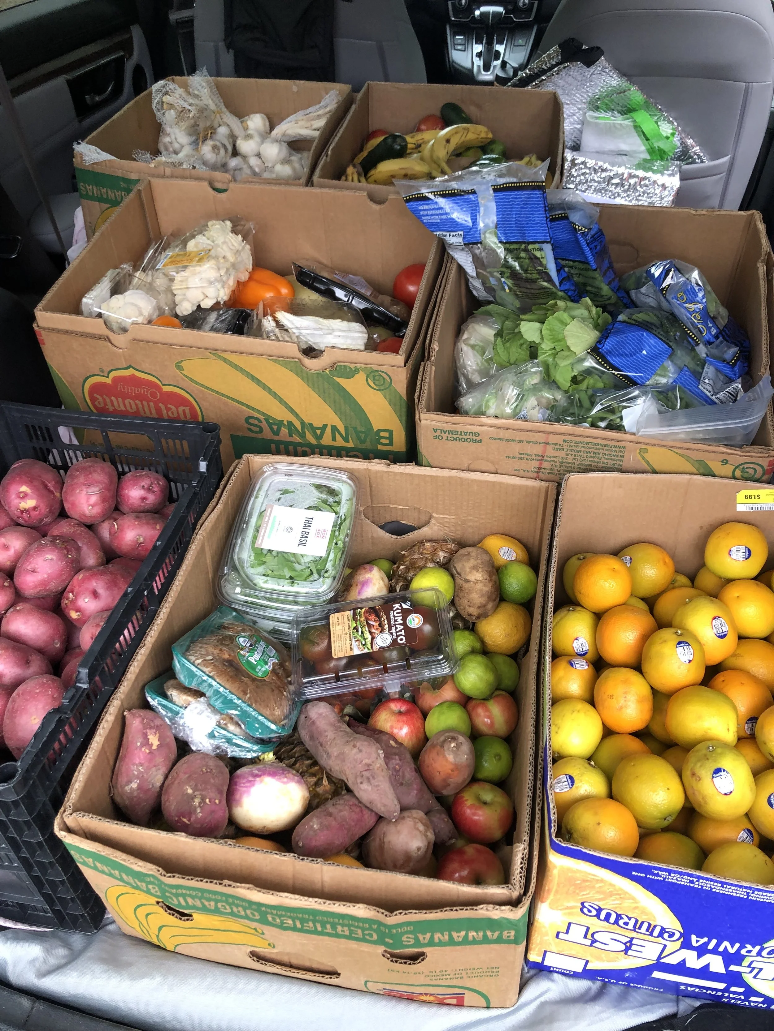 10 Million Pounds of Food!