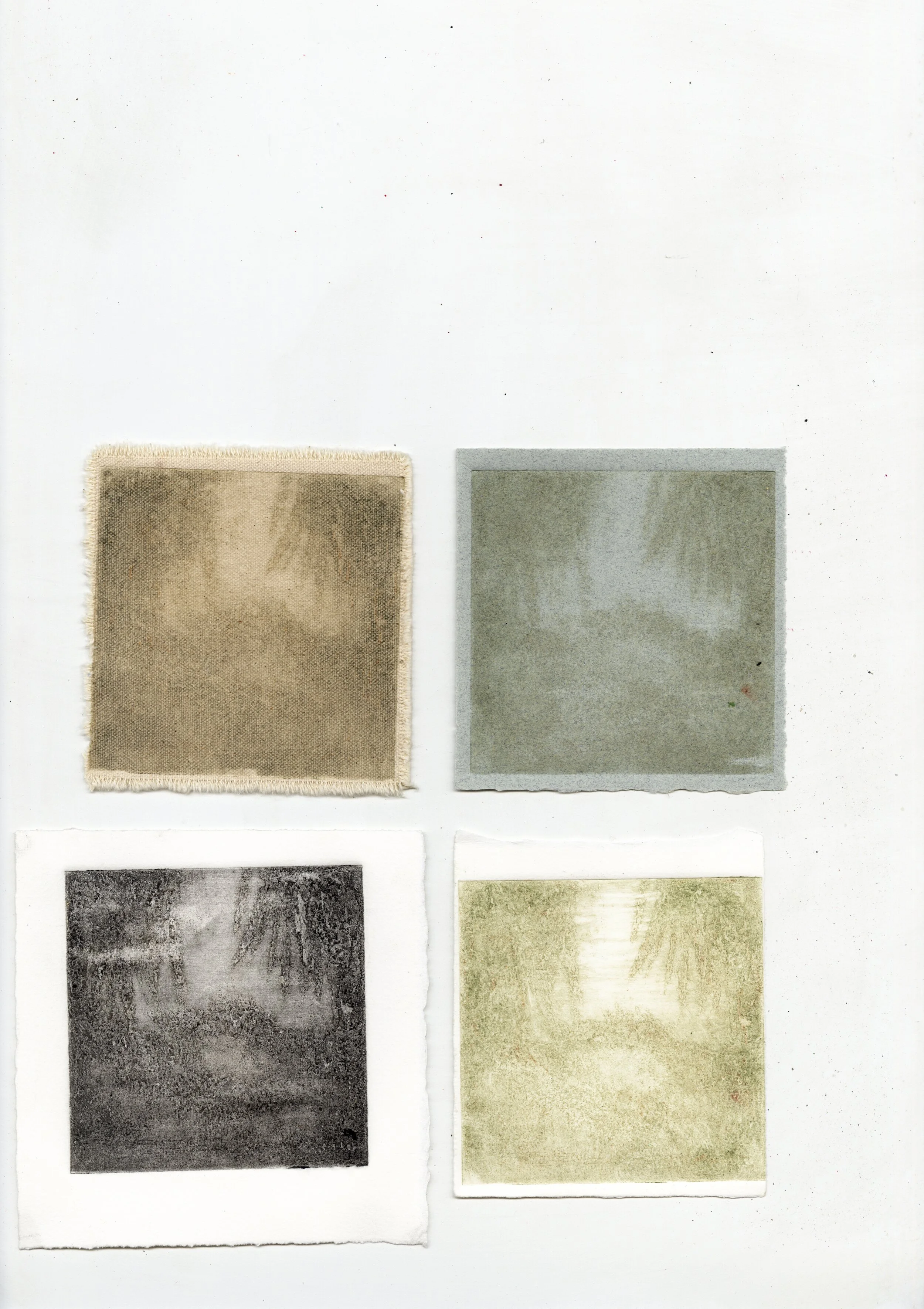 untitled 12.jpg