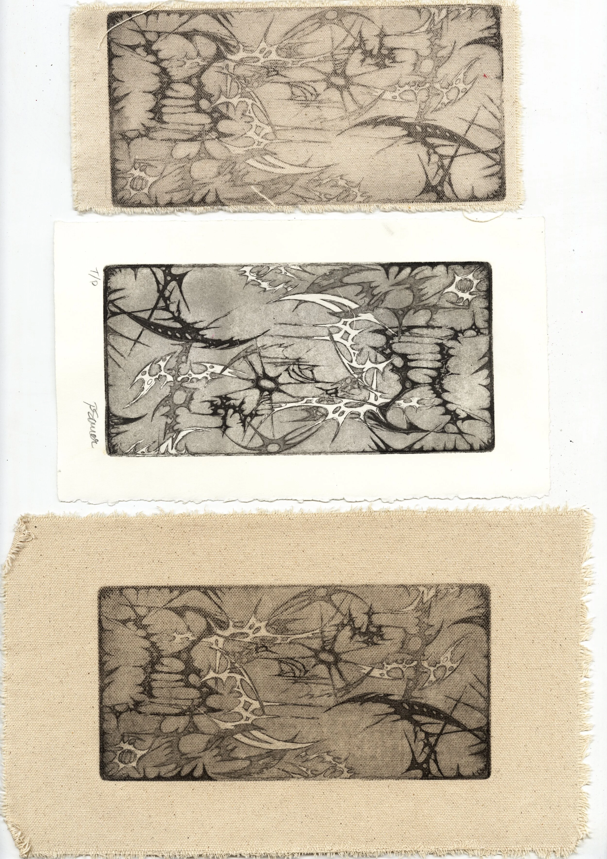 untitled 01.jpg