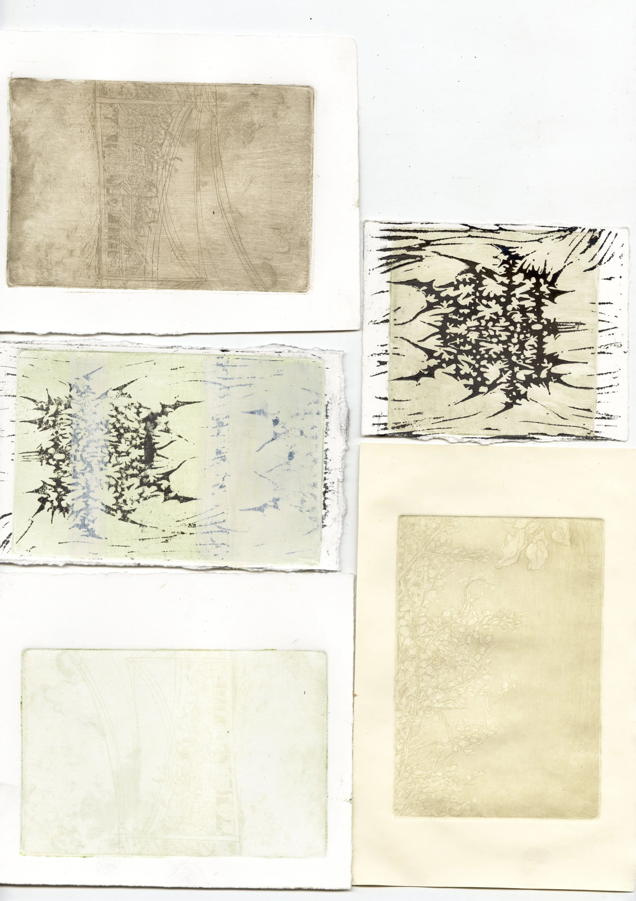 untitled 06.jpg