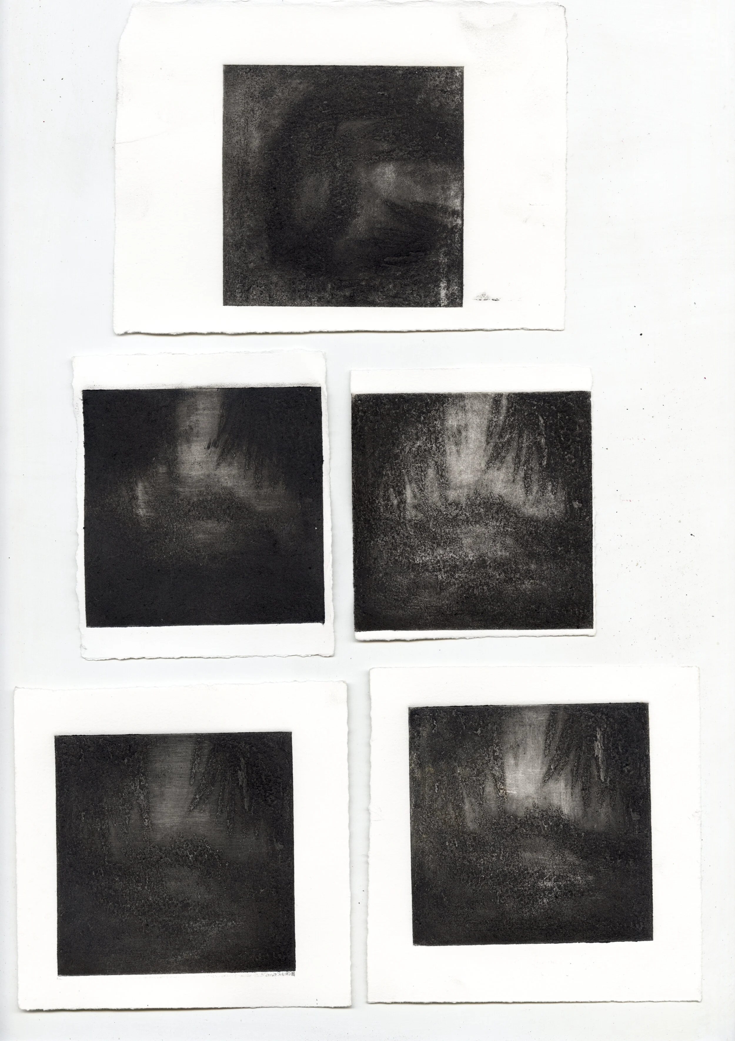 untitled 14.jpg