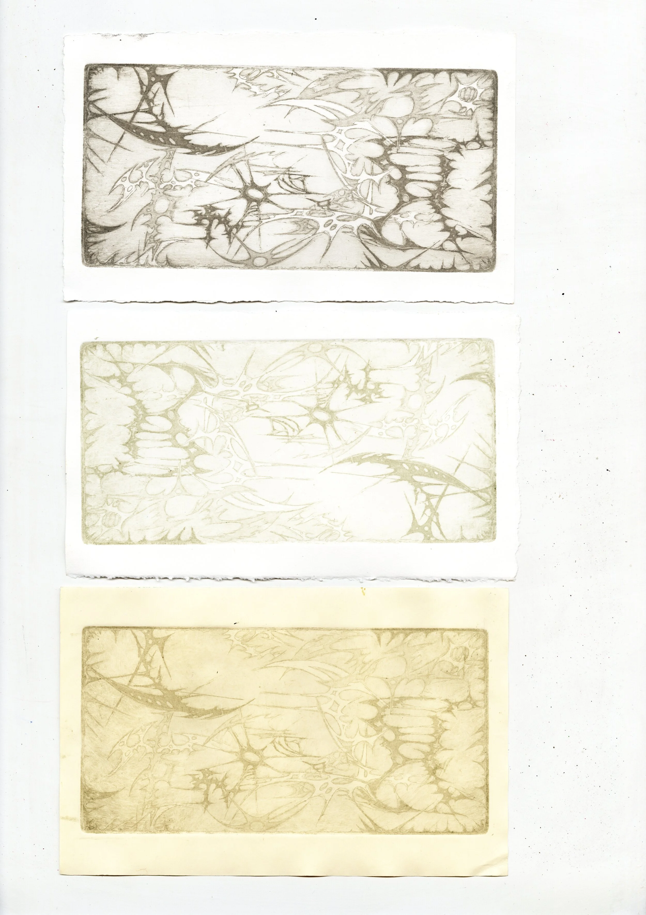 untitled 02.jpg