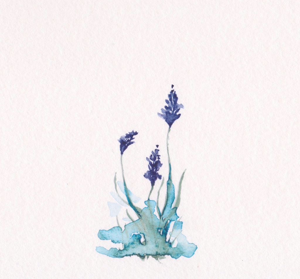 PLANT-2.png
