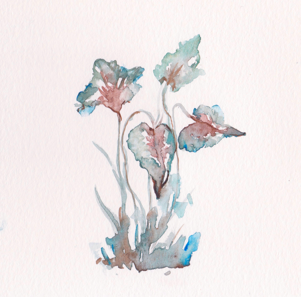 PLANT-1.png