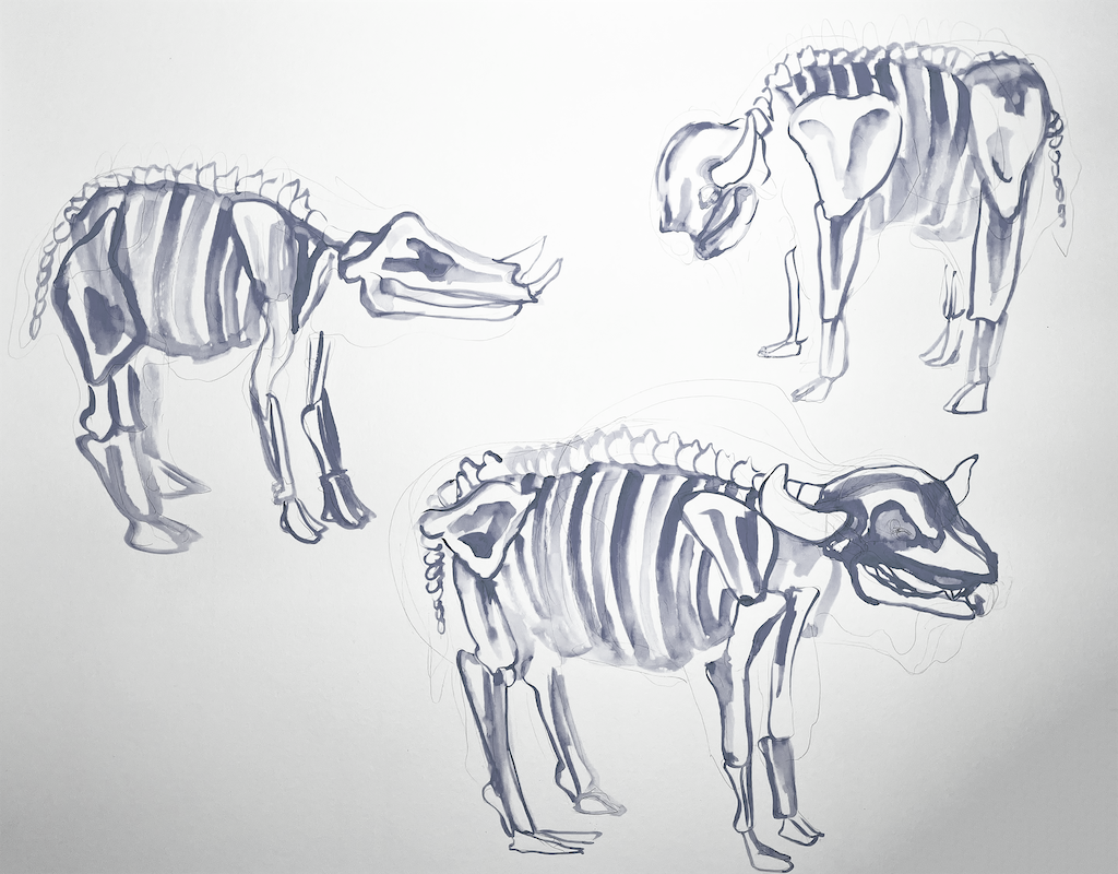 BONES-3.png