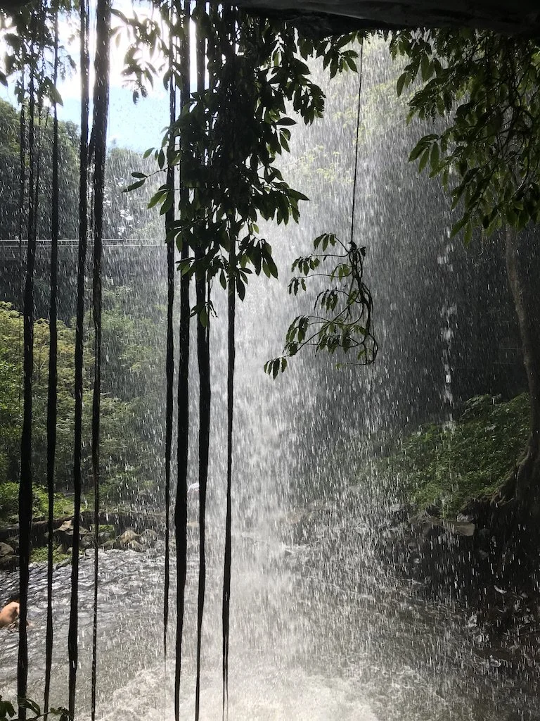 Crystal Waterfall - Dorrigo 