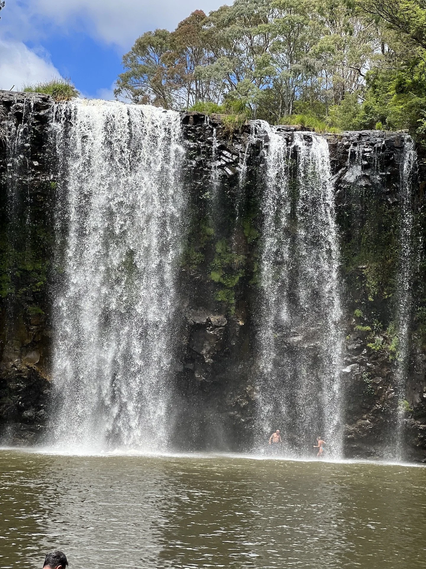 dangar_falls_portrait_2023.jpeg