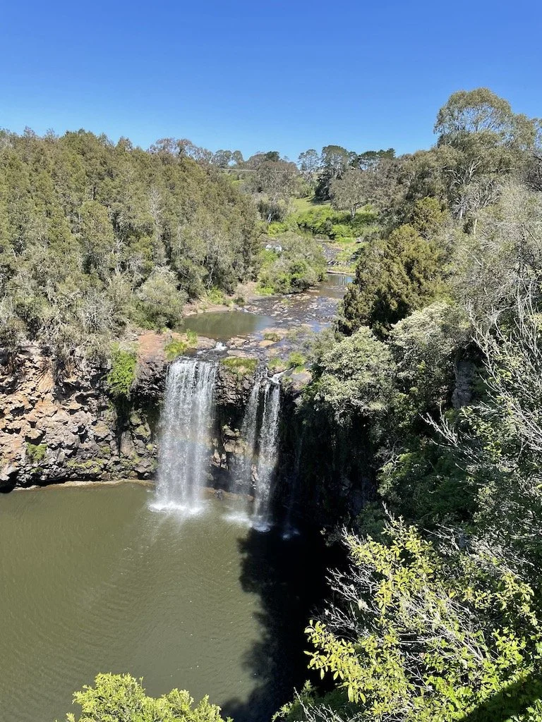 Dangar Falls - Dorrigo 