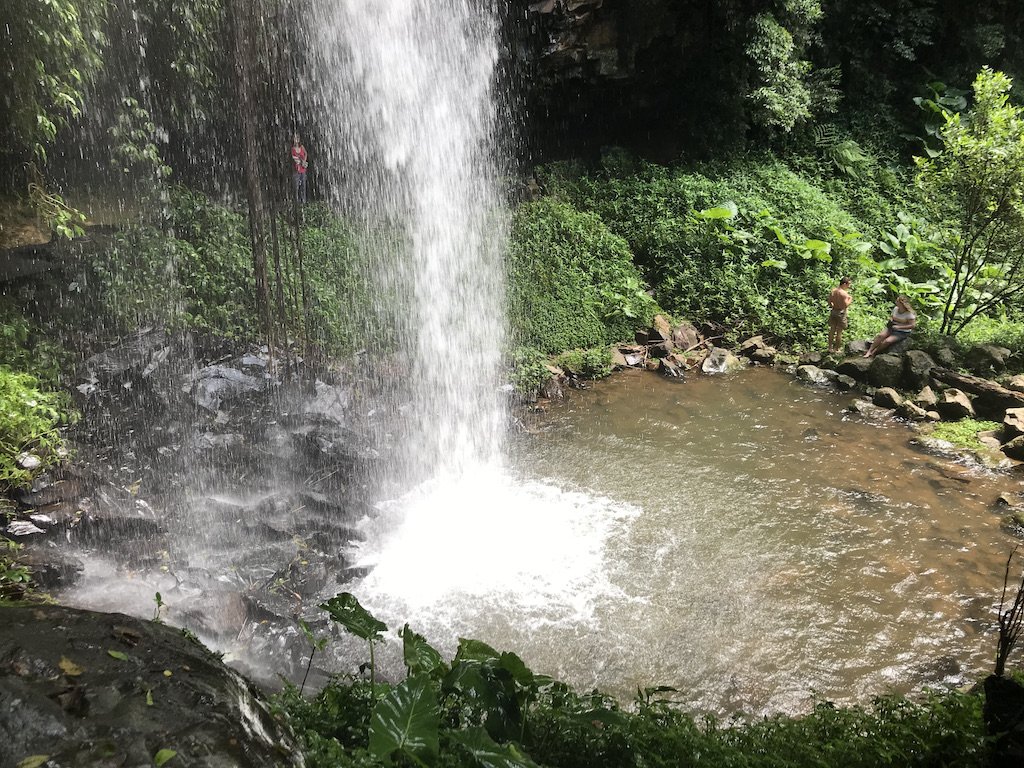 Crystal Waterfall Dorrigo 