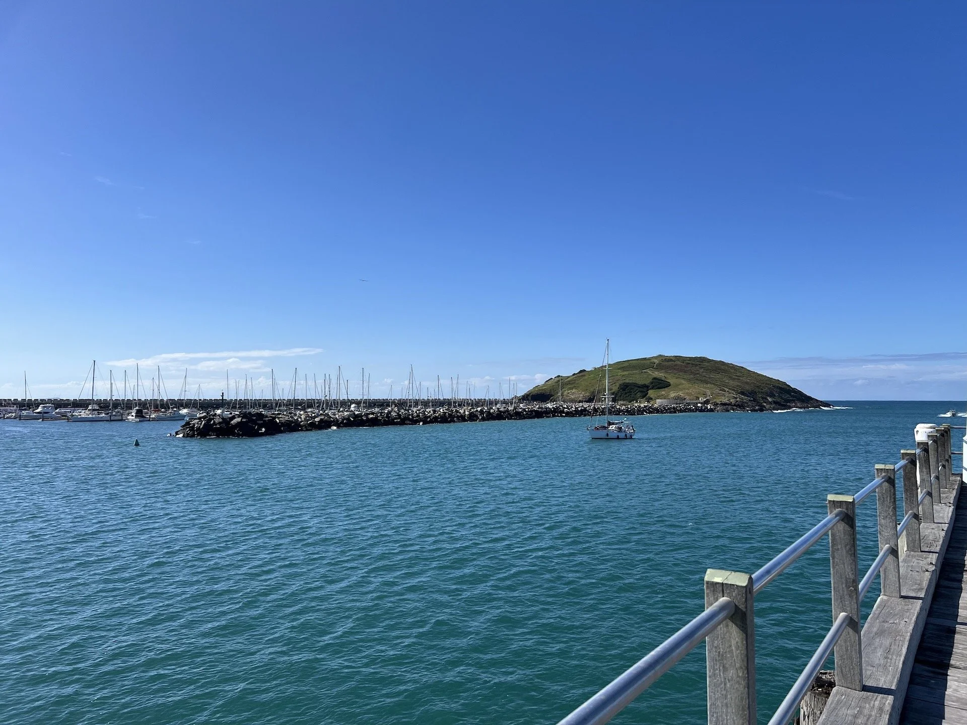 harbour yacht.jpeg