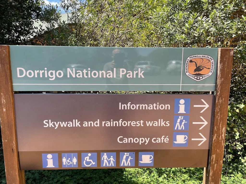 Dorrigo National Park 