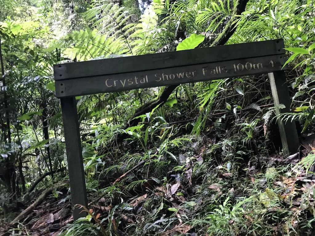 Crystal Showers Walk - Dorrigo 