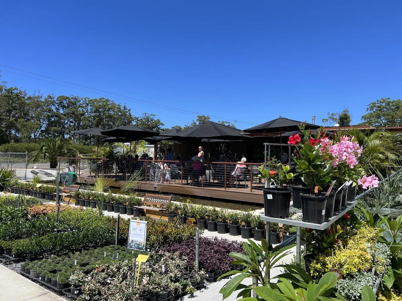 coffs_garden_centre4.jpeg