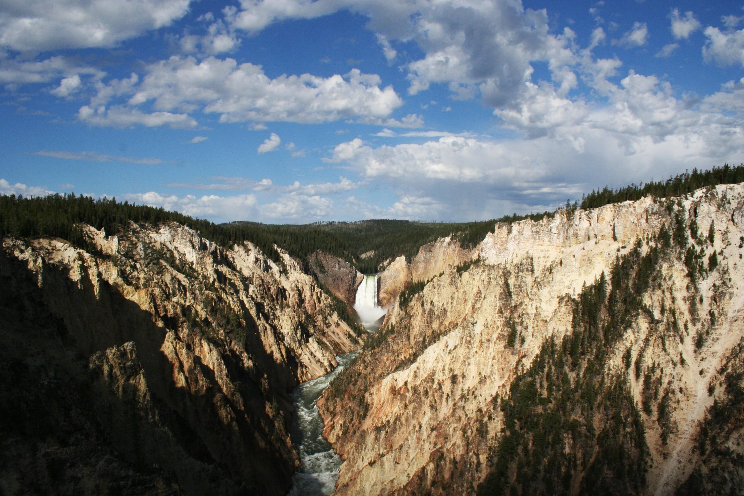 Yellowstone Remains.JPG