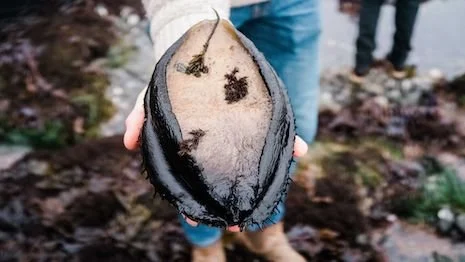 Sustainability Serves: Luxury savors the Slow Food Movement; Luxury Daily
