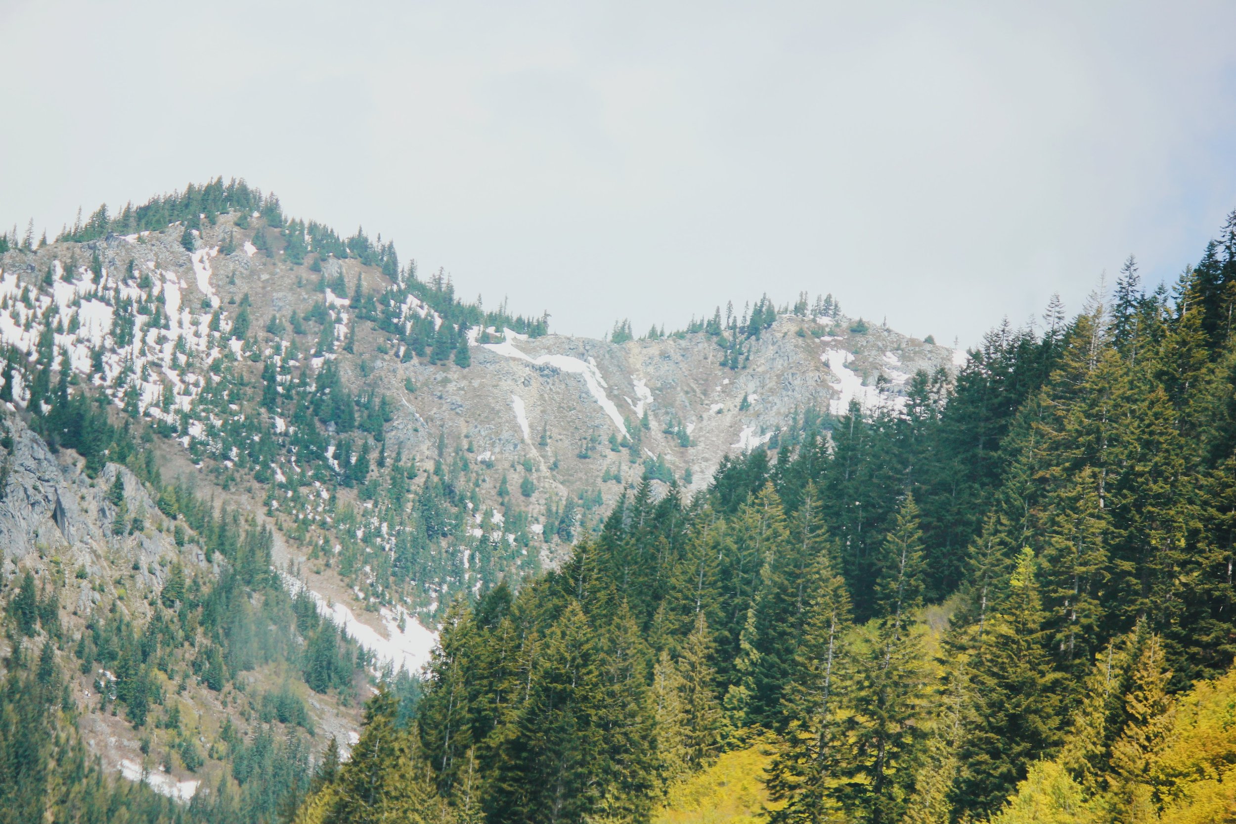 American Alps.jpg