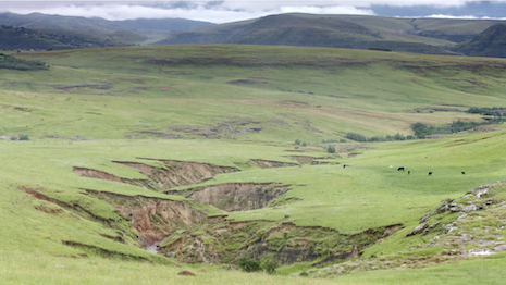 Equity advances among South African agricultural community; Luxury Daily
