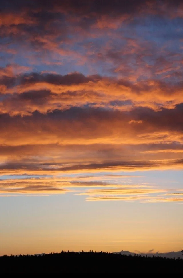 Wildfire Season Sunset.jpg