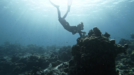 Four Seasons supports coral conservation efforts in Maldives; Luxury Daily