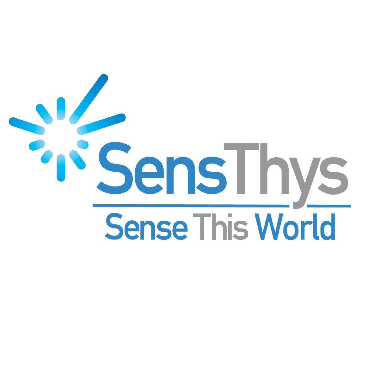 Partners_Logos-SensThys.jpg