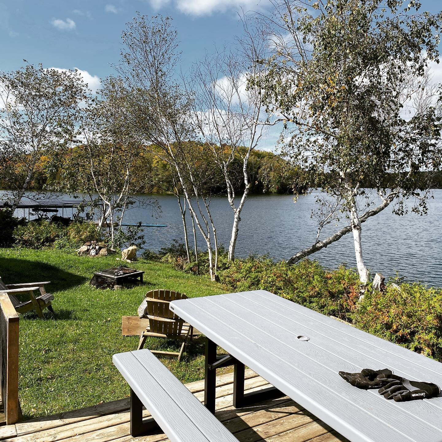 The firepit is gone but hopefully this propane fire table will tide you over until I find a more suitable location for the wood firepit! A little extra deck space and more privacy is a bonus. Do I like the swing location? Jury is still out! For bette