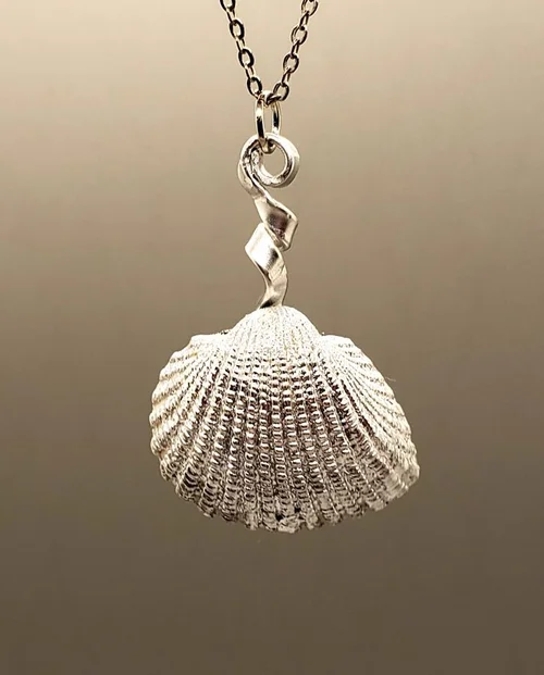 Cockle shell cast in silver