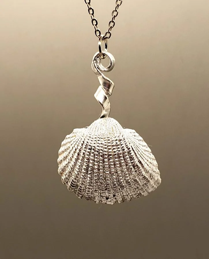 A cockle shell cast in silver