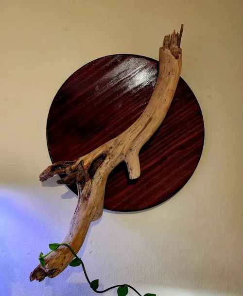 Driftwood on a round wall plaque