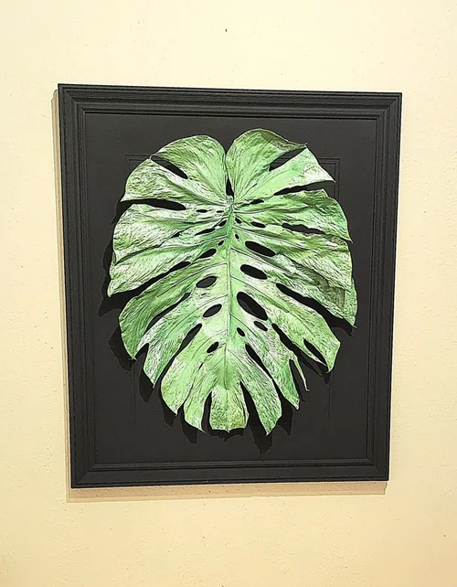 Framed monstera leaf