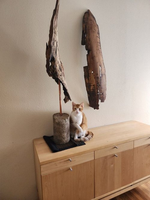 Two driftwood pieces on a cabinet