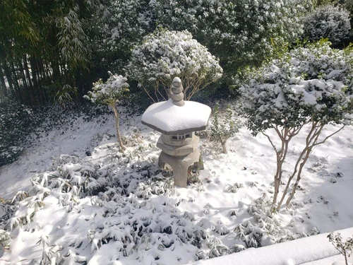 Snow-covered garden lantern