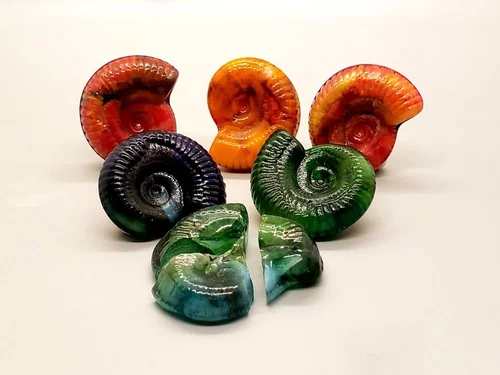Painted orange and green cast ammonites