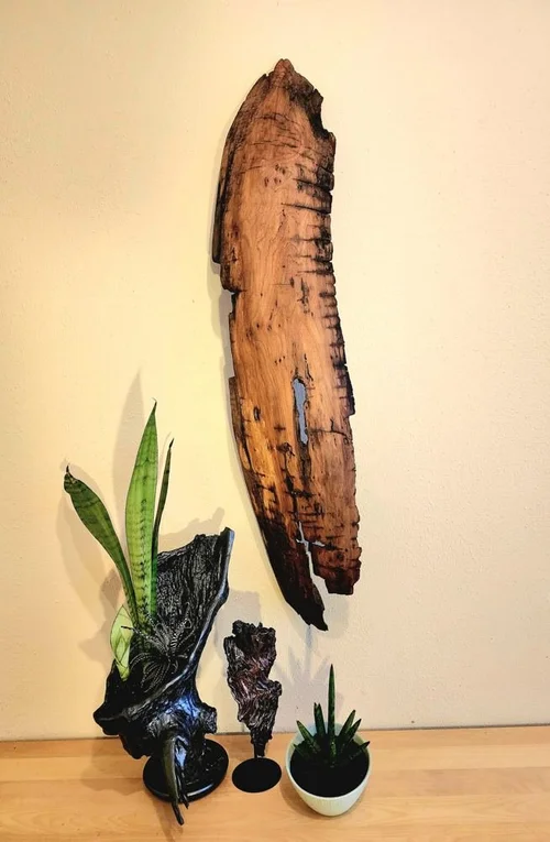Long weathered driftwood sculpture