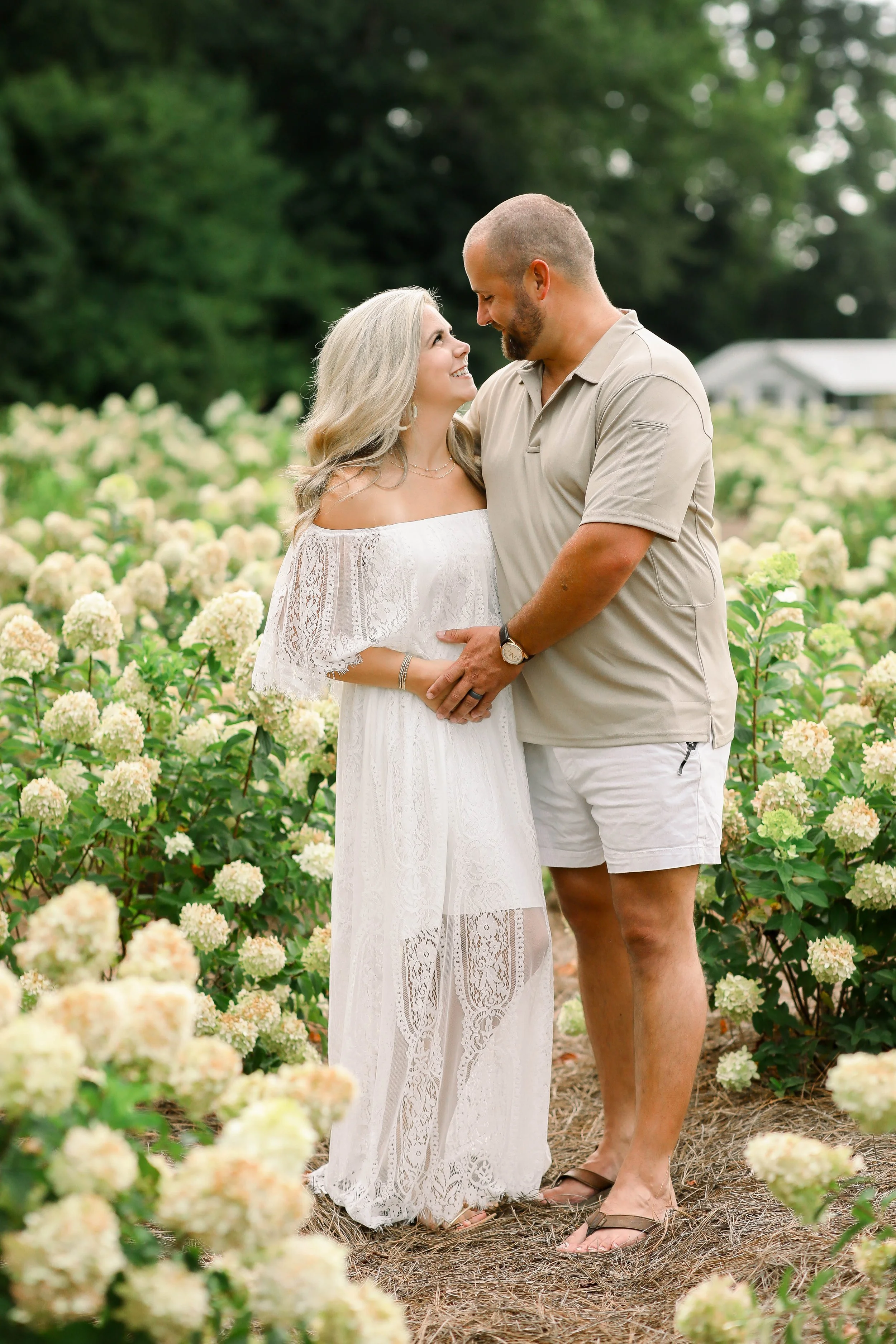 kight_hydrangea_pregann_2025(50of80).jpg