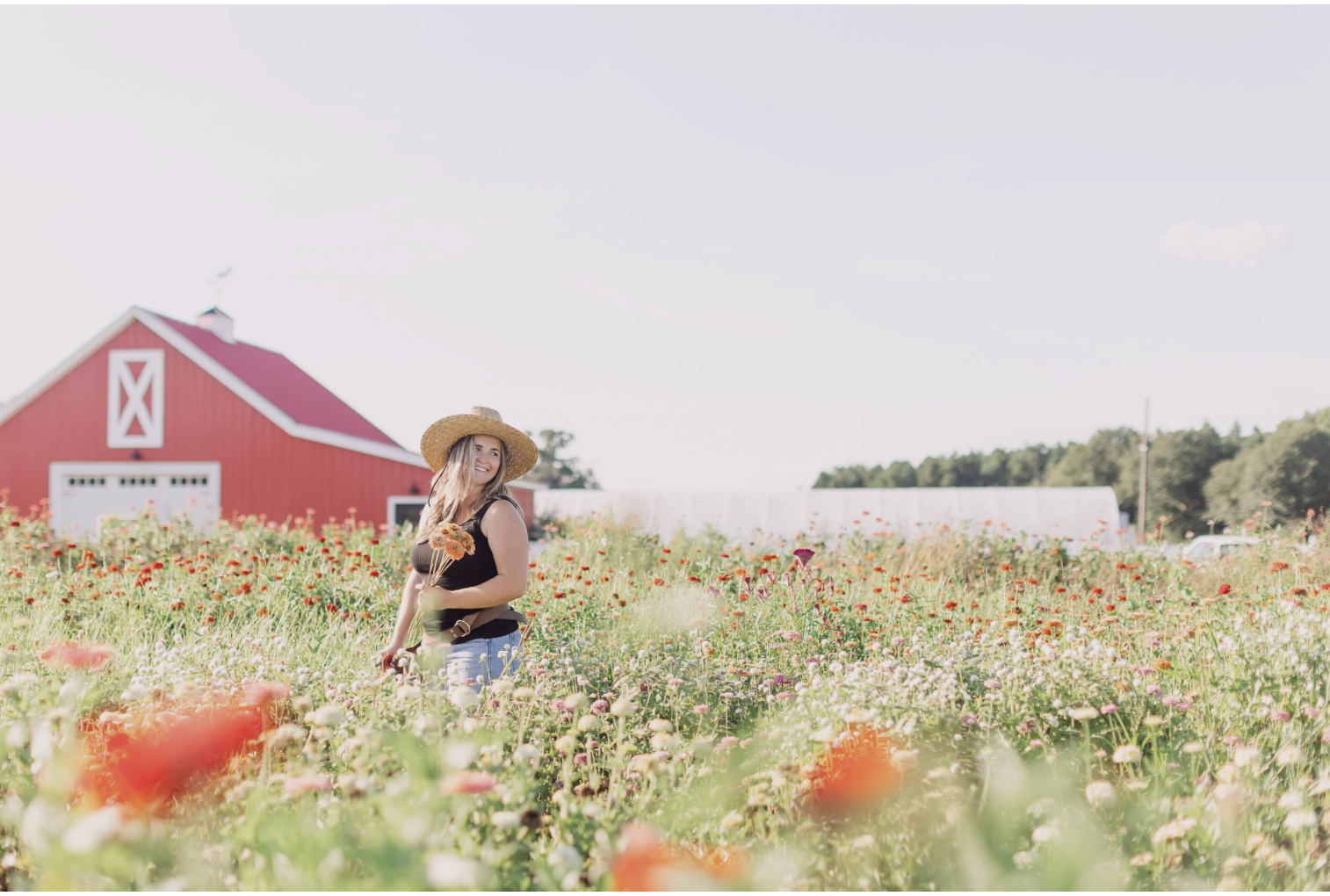 Photos On The Farm