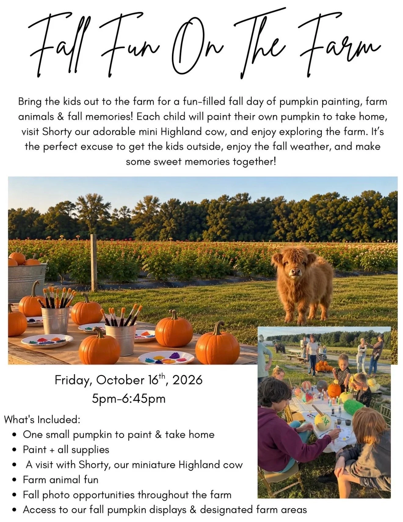 Pumpkin Painting - Fall Fun On The Farm