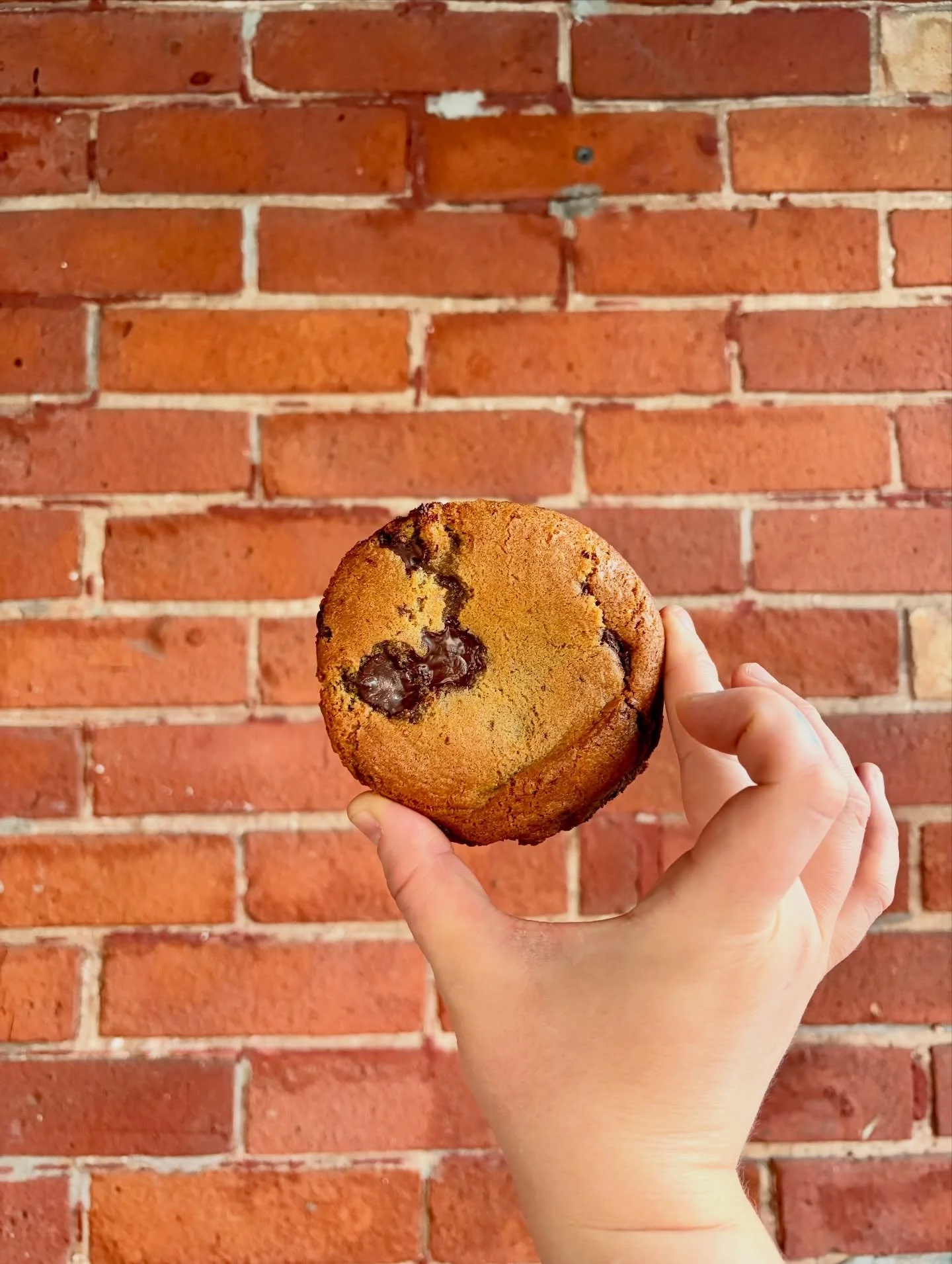 Our brown butter chocolate chip cookie got a makeover! A classic made even better 🥰 we make them everyday, so come try it and tell us what you think! 🌟

#bakery #torontofood #yyzeats #cookie #torontocookies