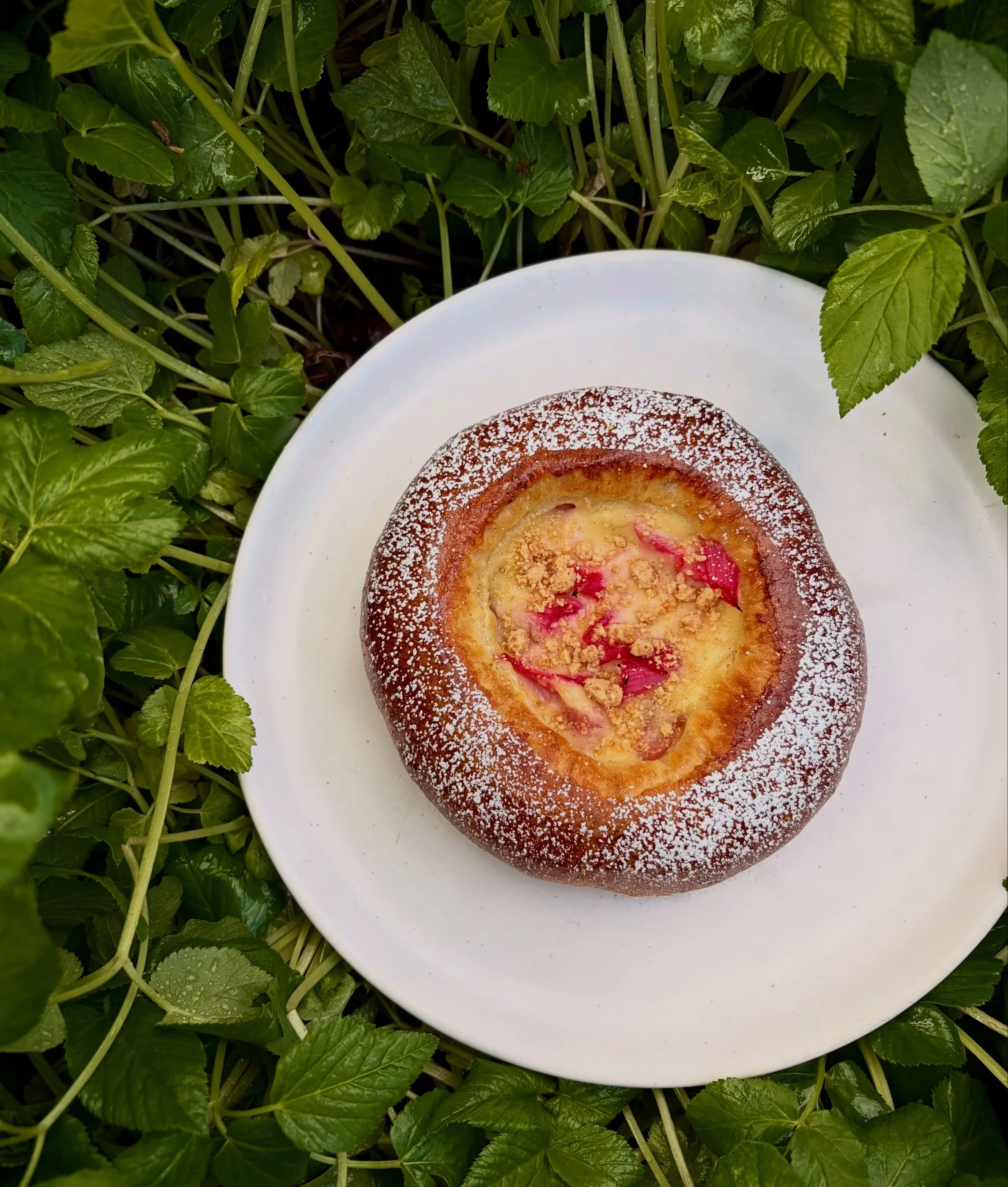 POACHED RHUBARB BRIOCHE 🌷💐🌷💐

wine and OJ poached rhubarb, vanilla pastry cream, and a buttermilk crumble in our soft brioche bun! Available every morning Friday, Saturday and Sunday! 👀

#torontofood #yyzfood #yyzeats #torontobakery #torontoeats