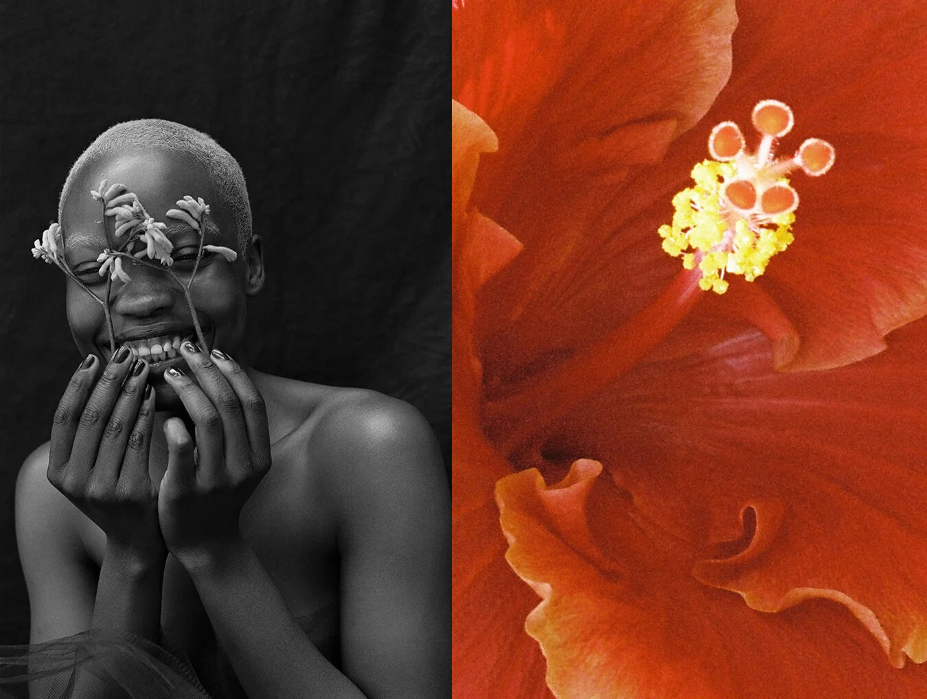 The Gentle Boldness of Natalia Parsonson