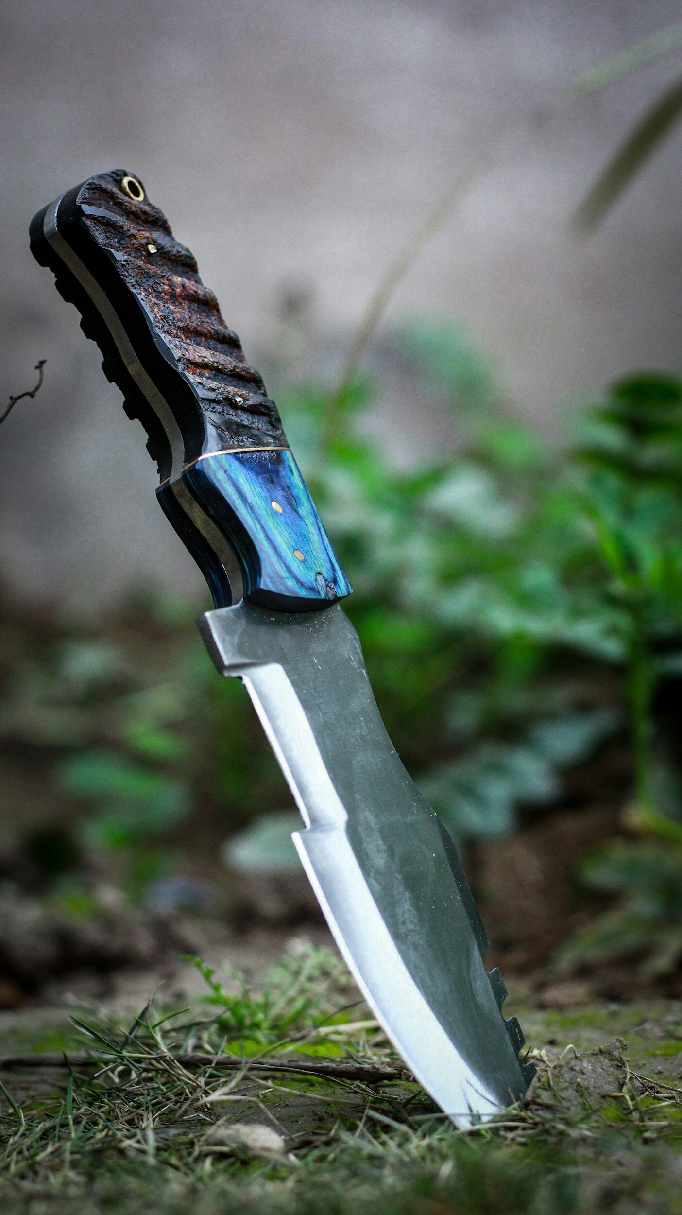 “The Sword in the Garden”