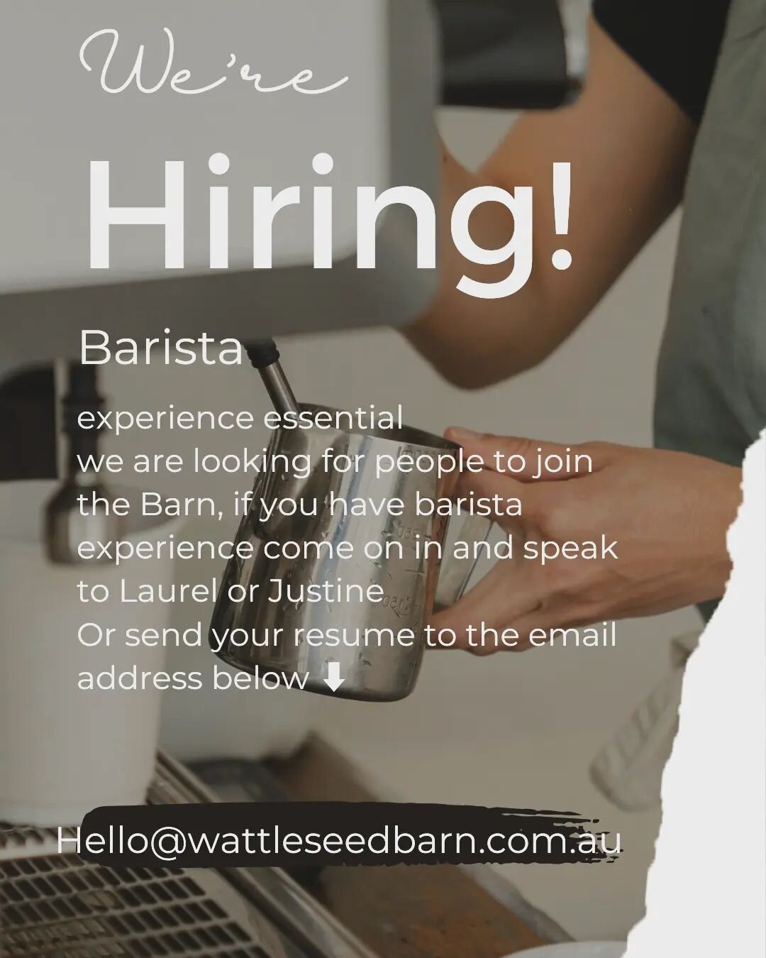 If you're an experienced Barista, we are looking for YOU!

Come into the Barn and ask for Laurel or Justine.
